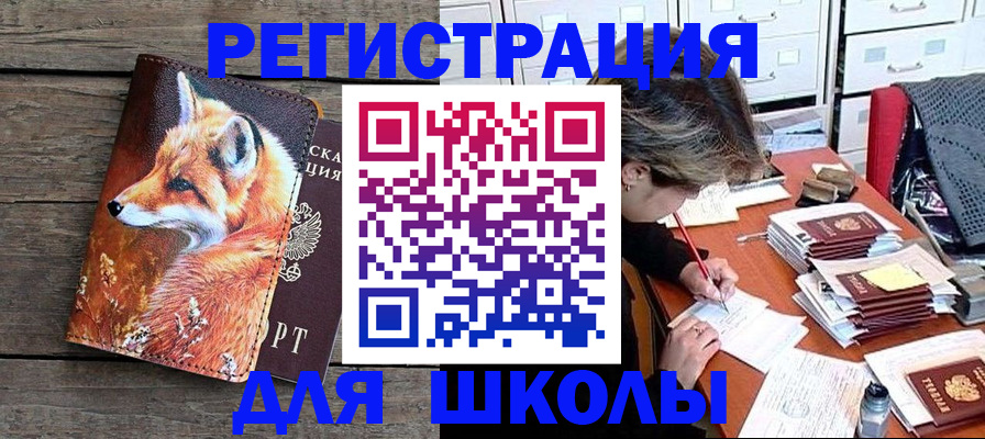 где прописаться в Пионерском